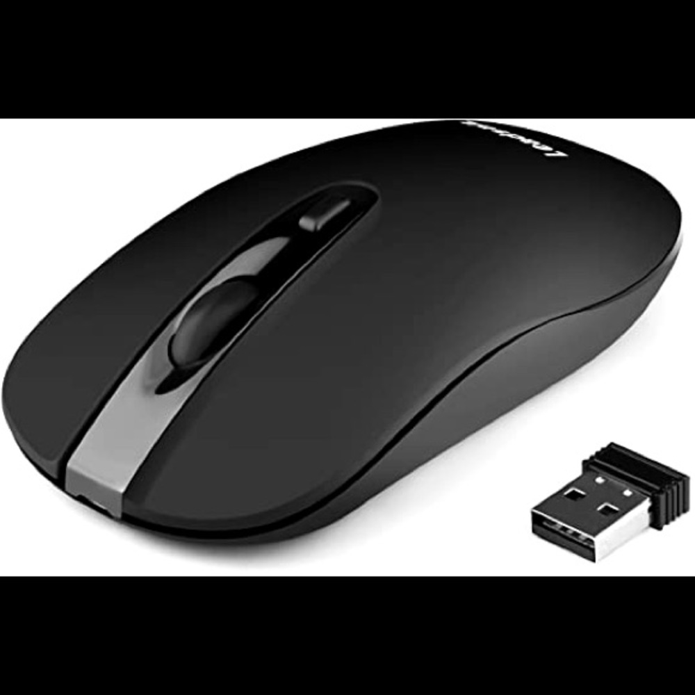 A computer or laptop mouse